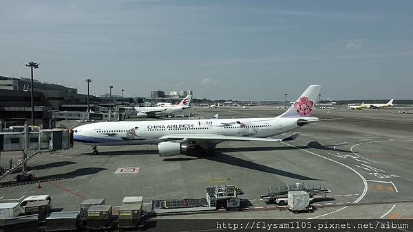 DSC07245.JPG DSC07245.JPG