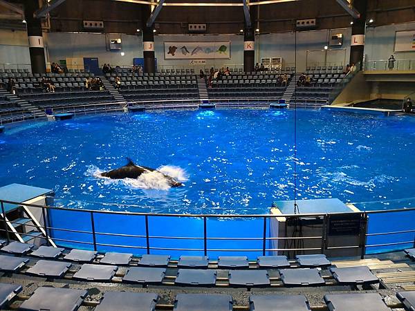 IMG_20180417_184952.jpg IMG_20180417_184952.jpg