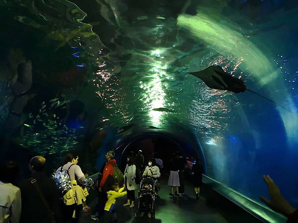 IMG_20180417_191736.jpg IMG_20180417_191736.jpg