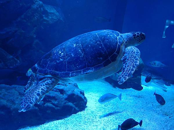 IMG_20180417_192644.jpg IMG_20180417_192644.jpg