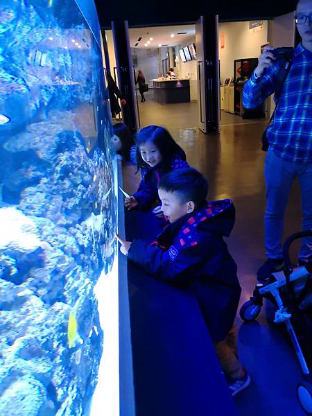 IMG_20180417_193826.jpg IMG_20180417_193826.jpg