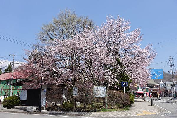 DSC08940.JPG DSC08940.JPG