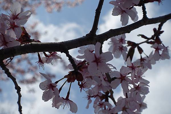 DSC08947.JPG DSC08947.JPG