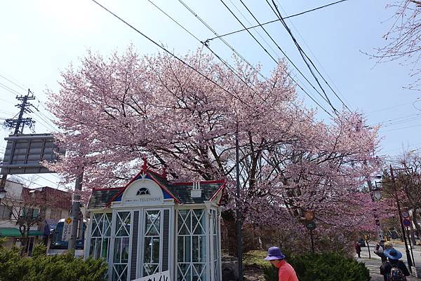 DSC08945.JPG DSC08945.JPG