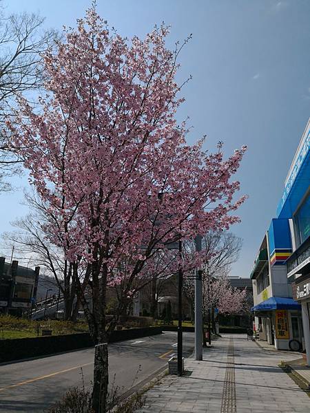 IMG_20180420_091009.jpg IMG_20180420_091009.jpg