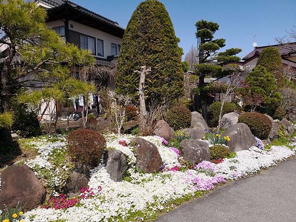 IMG_20180420_125909.jpg IMG_20180420_125909.jpg