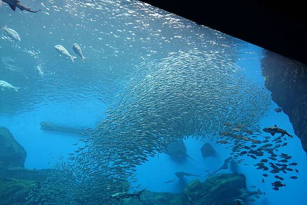 DSC09102.JPG DSC09102.JPG