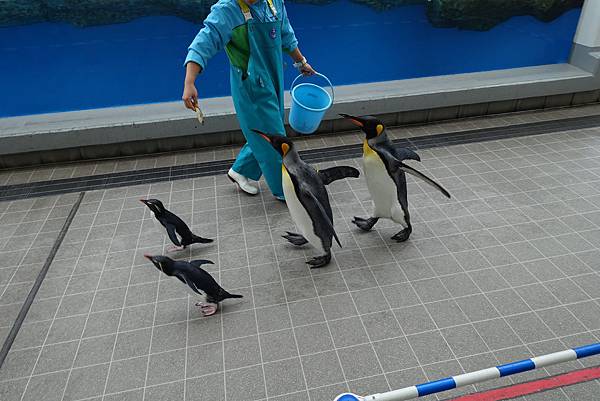 DSC09174.JPG DSC09174.JPG