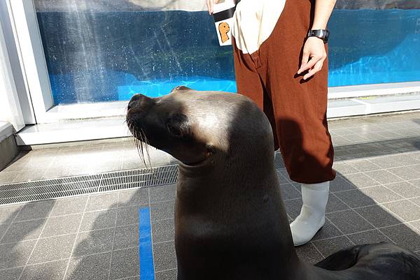 DSC09208.JPG DSC09208.JPG