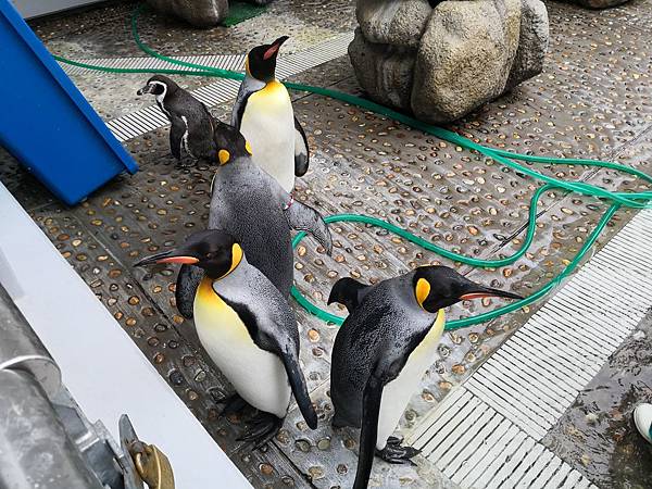 IMG_20181212_102923.jpg IMG_20181212_102923.jpg