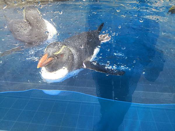 IMG_20181212_113001.jpg IMG_20181212_113001.jpg