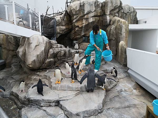 IMG_20181212_112829.jpg IMG_20181212_112829.jpg