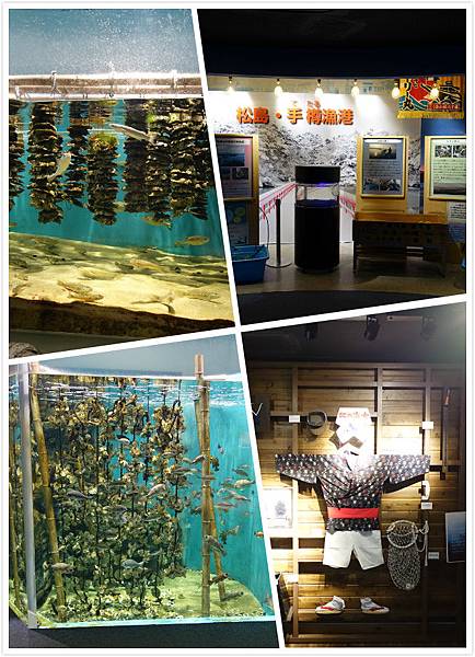 仙台水族館2.jpg 仙台水族館2.jpg