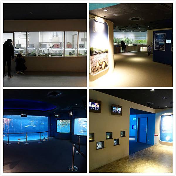 仙台水族館3.jpg 仙台水族館3.jpg