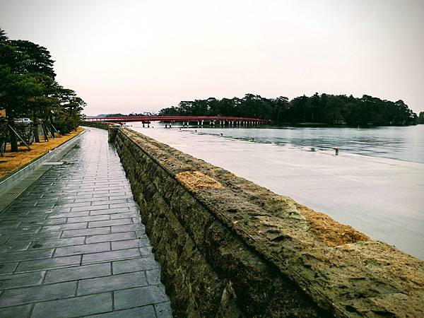 IMG_20181213_111826-EFFECTS.jpg IMG_20181213_111826-EFFECTS.jpg