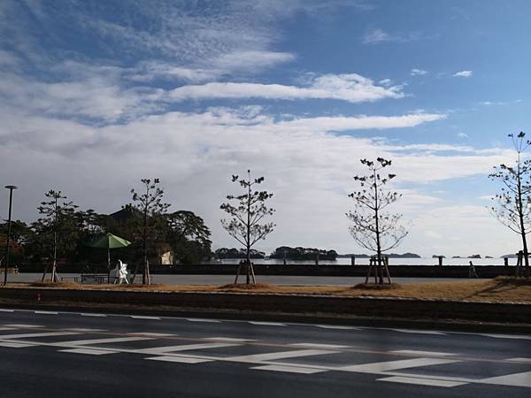 IMG_20181213_122858_1.jpg IMG_20181213_122858_1.jpg