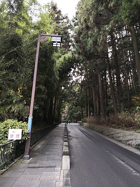 IMG_20181213_135404.jpg IMG_20181213_135404.jpg