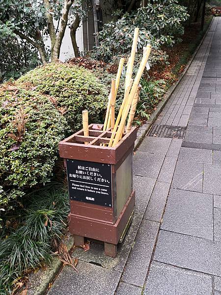 IMG_20181213_135556.jpg IMG_20181213_135556.jpg