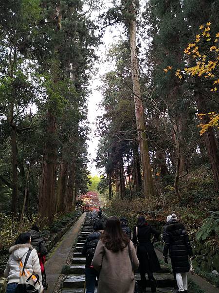 IMG_20181213_135848.jpg IMG_20181213_135848.jpg