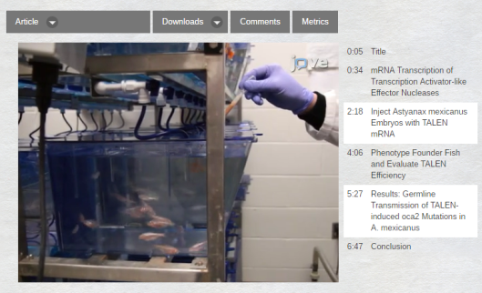 fireshot-capture-91-genome-editing-in-astyanax-mexicanus-u_-http___www-jove-com_video_54113_ge.png