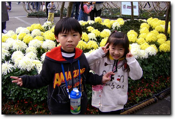 2011陽明山花季 (3).jpg 2011陽明山花季 (3).jpg