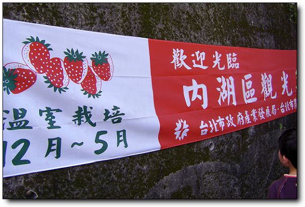110227內湖草莓季(1).jpg 110227內湖草莓季(1).jpg