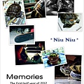 拼貼_first half year of 2012_ms