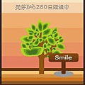 2tree 12
