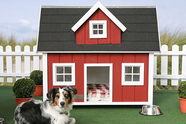 dog-house-designs-Lonneberga