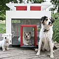 modern-dog-home-Freshome01