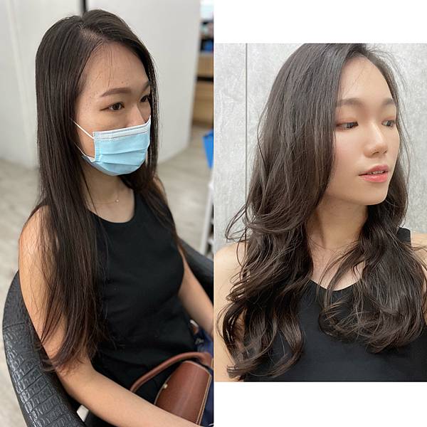 台中美髮推薦 【VS hair】 英短貓咪、紅貴賓陪你染燙髮