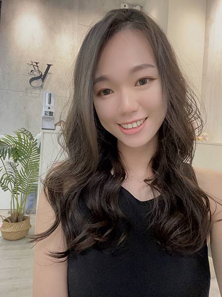 台中美髮推薦 【VS hair】 英短貓咪、紅貴賓陪你染燙髮