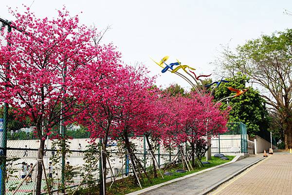 DSC00265.JPG DSC00265.JPG