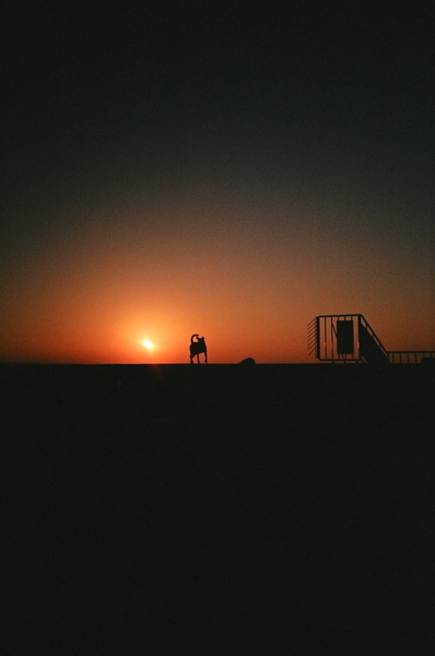 淡水夕陽 淡水夕陽