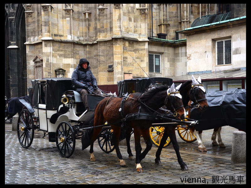 008 vienna stephansdom4