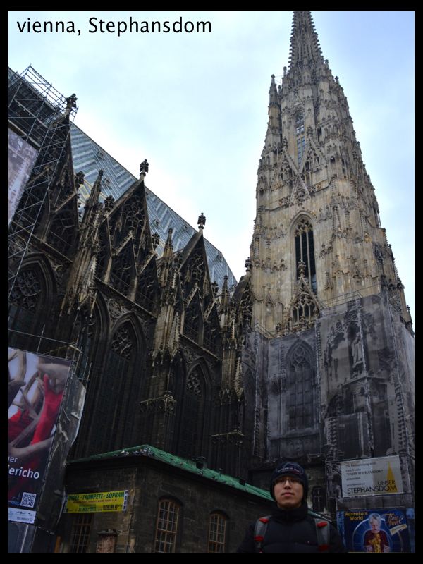 008 vienna stephansdom13