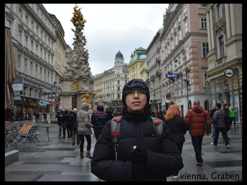 008 vienna stephansdom18