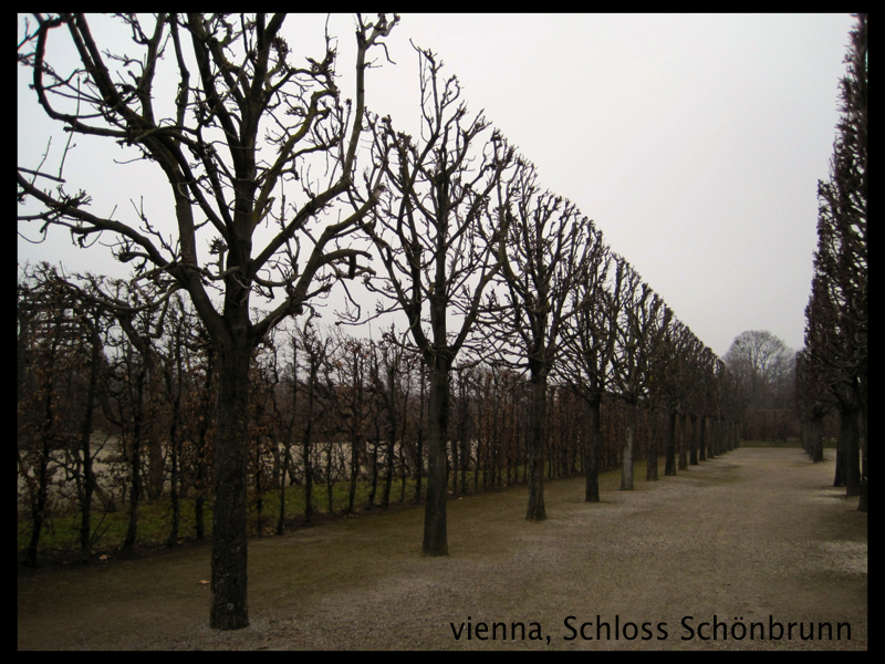 052 vienna Schloss Schonbrunn