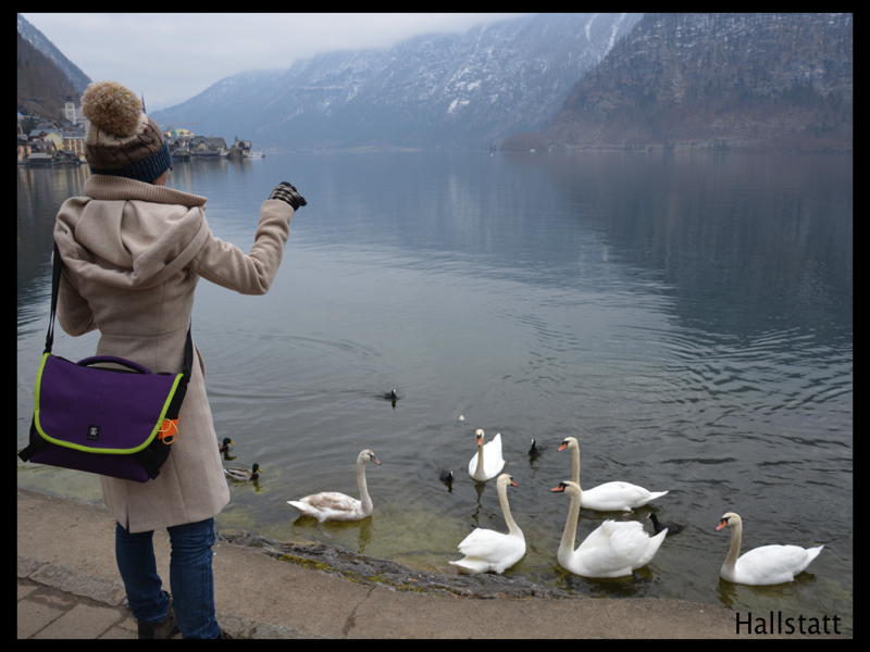 204 Hallstatt