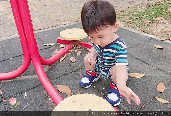 DSC_0869_mh1589178611392.jpg DSC_0869_mh1589178611392.jpg