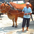 黃牛與牛車