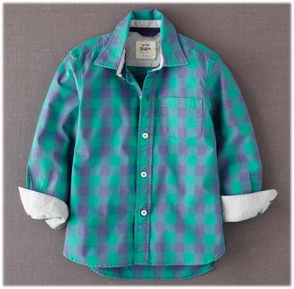 LAUNDERED SHIRT(green gingham).jpg