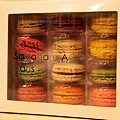 AOKI macaron 02.jpg