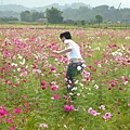 差點在花田裡跌倒