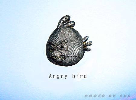 angry bird.jpg