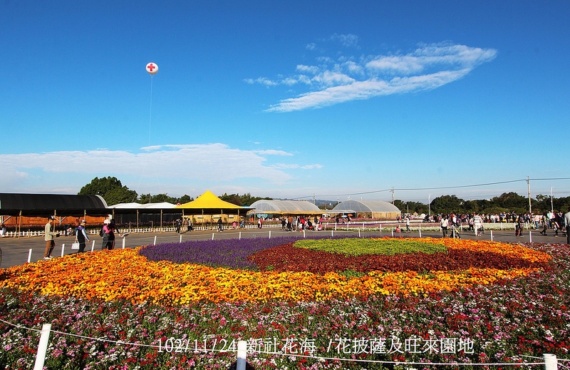 102/11/24 新社花海 /花披薩及旺來園地