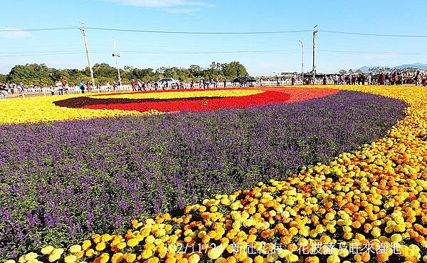 102/11/24 新社花海 /花披薩及旺來園地