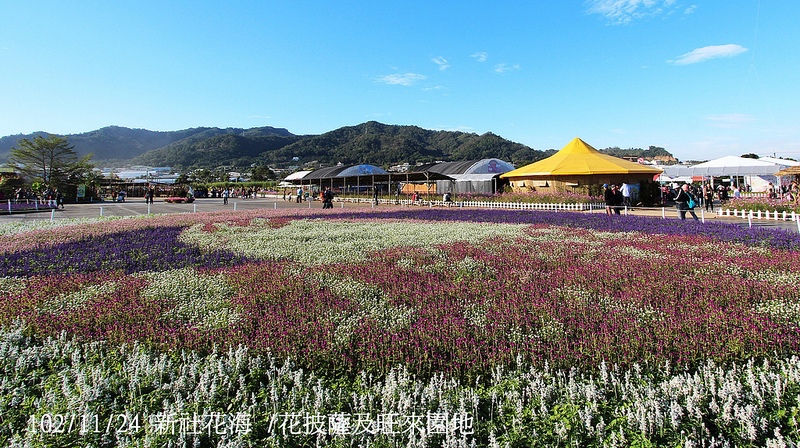 102/11/24 新社花海 /花披薩及旺來園地