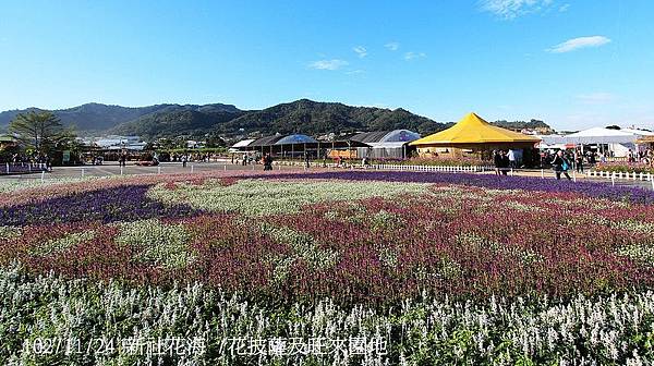 102/11/24 新社花海 /花披薩及旺來園地