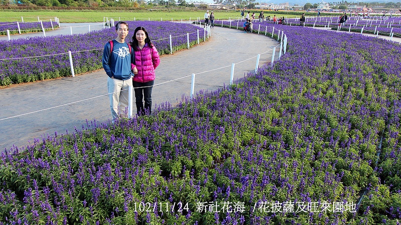 102/11/24 新社花海 /花披薩及旺來園地